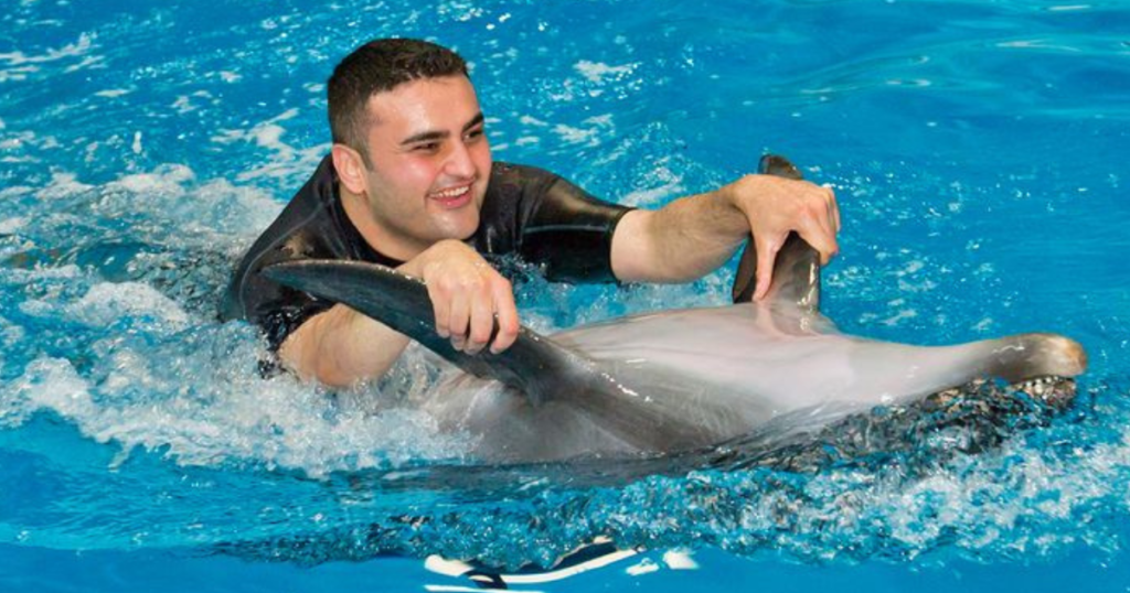 Swim with Dolphins