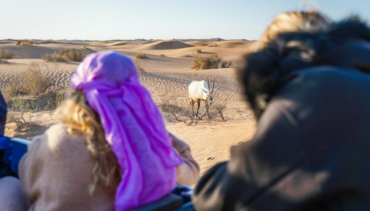 From City Lights to Golden Nights A Complete Journey into Dubai’s Desert Experience