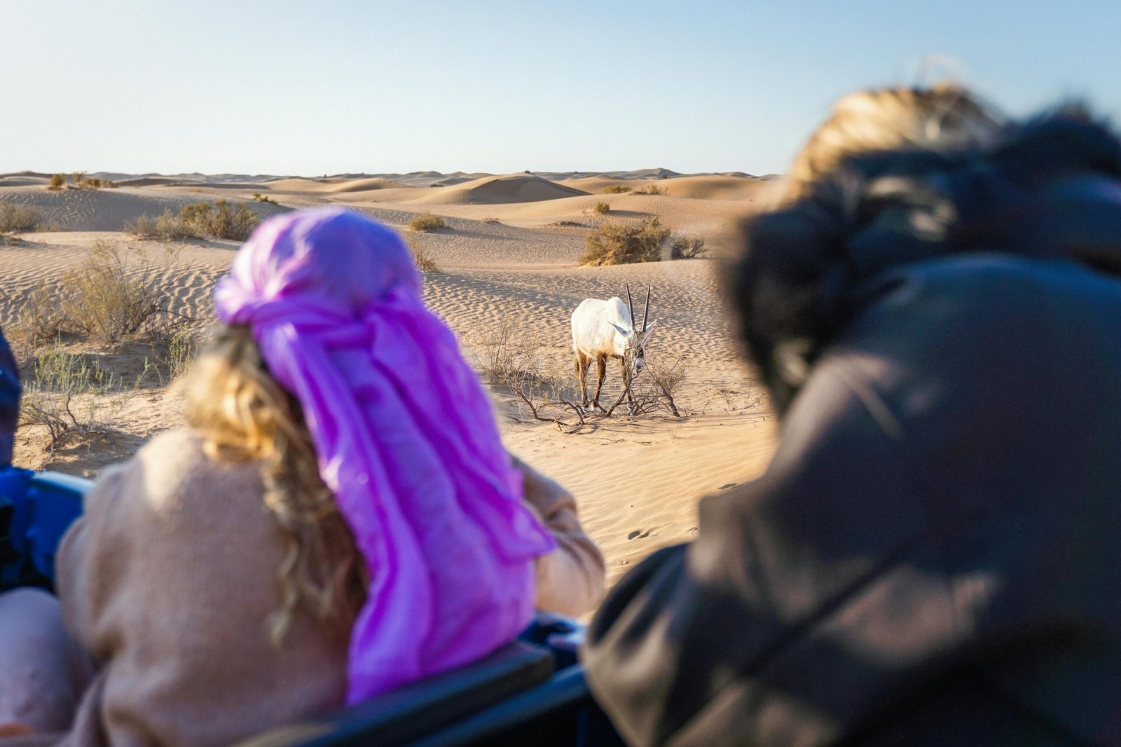 From City Lights to Golden Nights A Complete Journey into Dubai’s Desert Experience