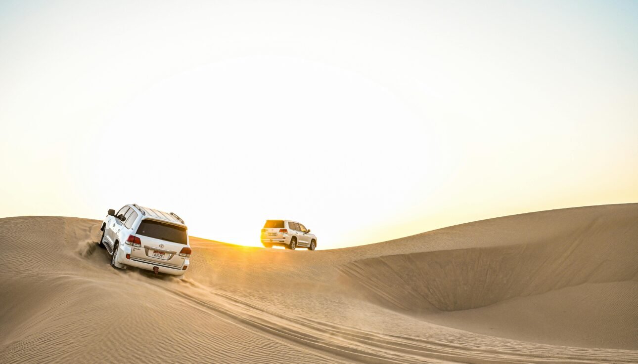 Beyond the City’s Glow A Journey into Dubai’s Most Captivating Natural Experience