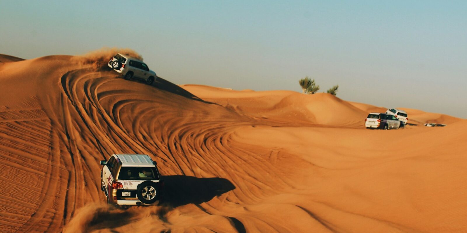 Evening Desert Safari with BBQ Dinner