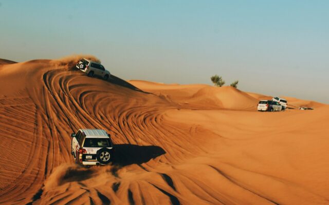 Evening Desert Safari with BBQ Dinner