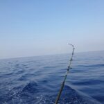 Fishing rod on a boat at sea