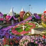 Flower garden in bloom