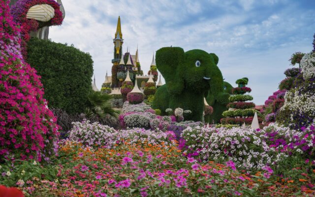 Dubai Miracle Garden