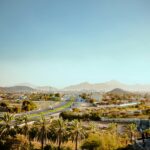 Palm trees and mountains in Fujairah