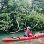 Red kayak in a mangrove channel