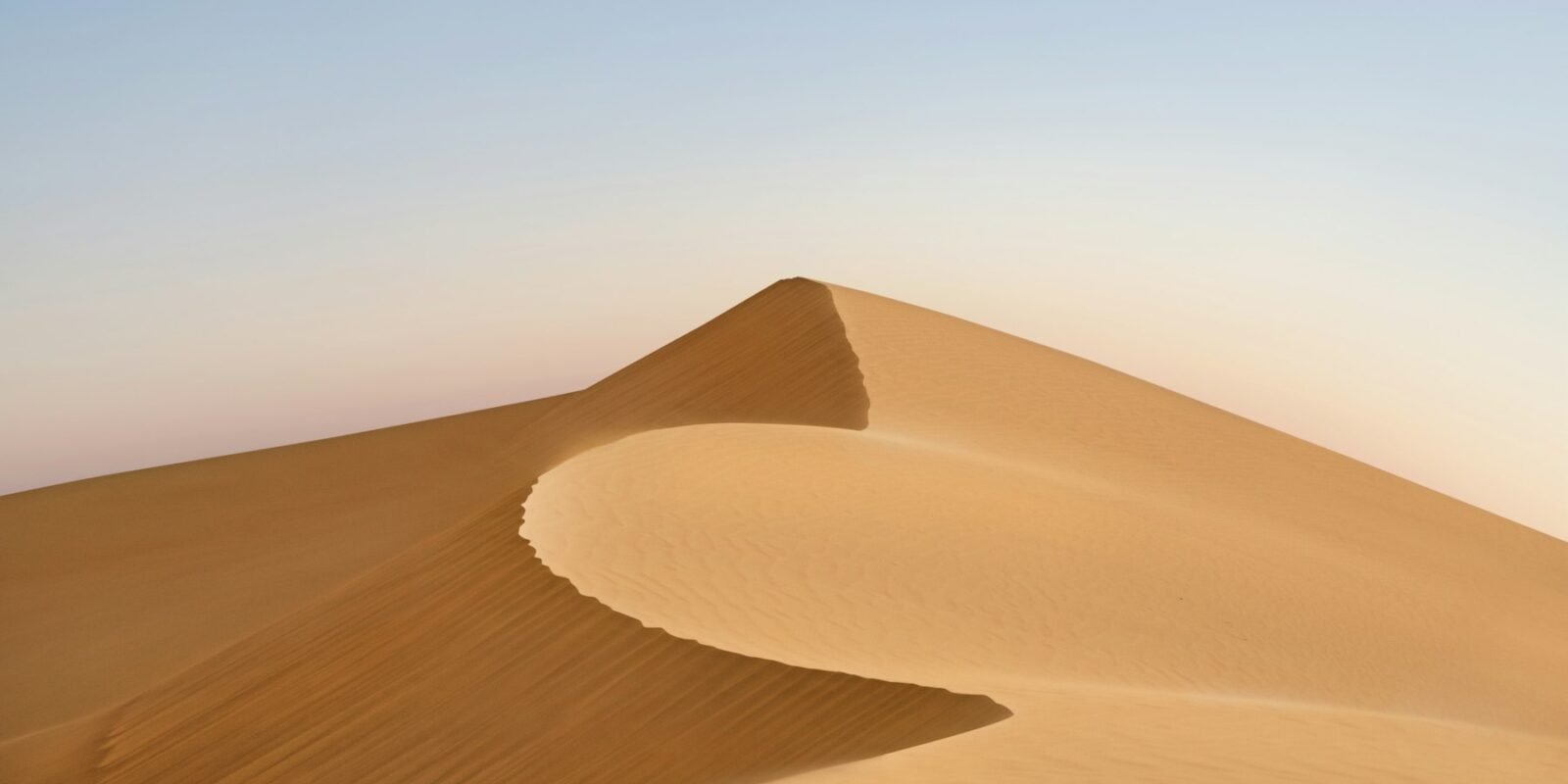 Sand dune ridge in the morning light