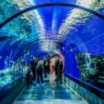 Underwater aquarium tunnel