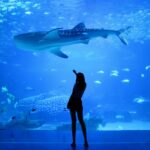 Visitor in front of a giant aquarium