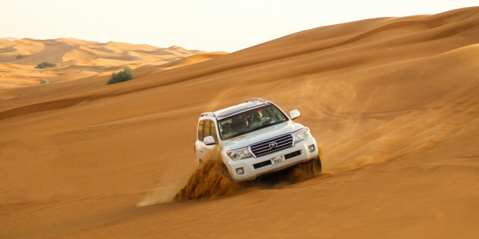 Morning Desert Safari with Sandboarding